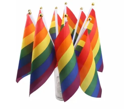 Rainbow pride håndflag