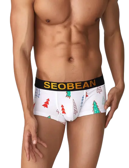 Seobean christmas trunk