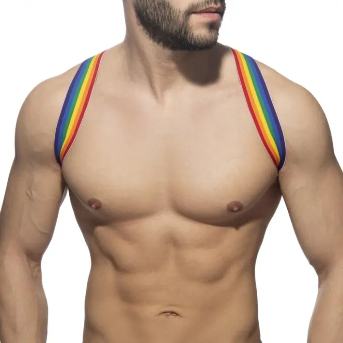 Addicted pride harness forfra