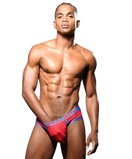 TROPHY BOY® For Hung Guys Mesh Brief