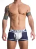 Touchdown Boxer Thunder